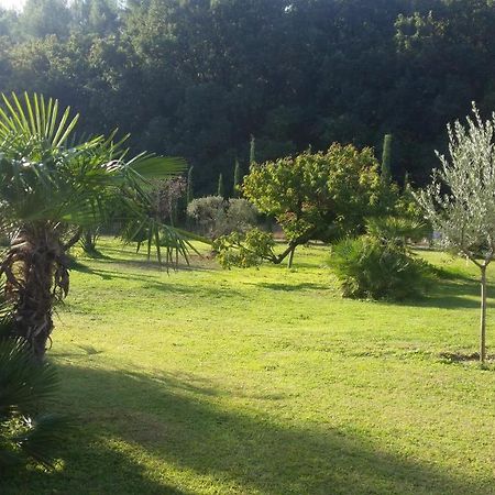 Bed and Breakfast Provence Carpentras Zewnętrze zdjęcie