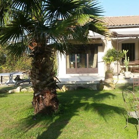 Bed and Breakfast Provence Carpentras Zewnętrze zdjęcie