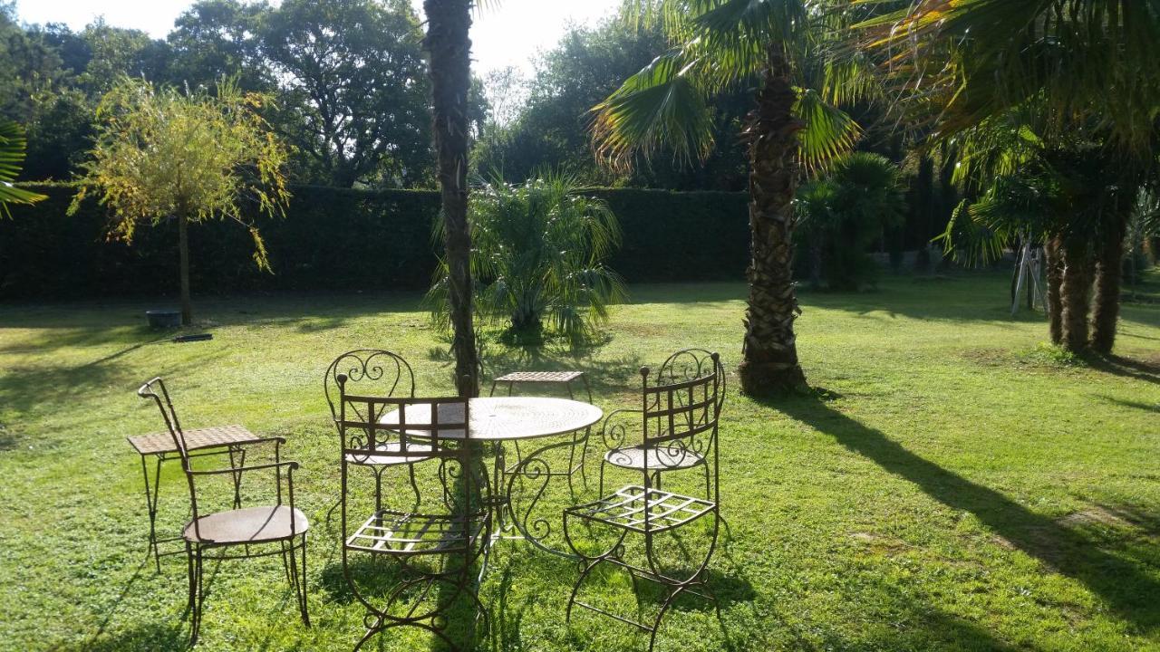 Bed and Breakfast Provence Carpentras Zewnętrze zdjęcie